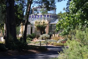 WHV2014_Adelaide_Botanic Garden (19)